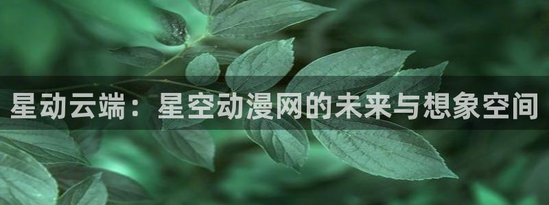 acg里番动漫：星动云端：星空动漫网的未来与想象空间