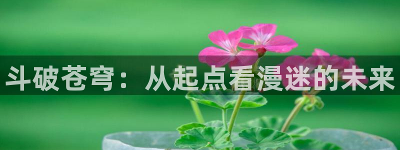 在线里番动漫网：斗破苍穹：从起点看漫迷的未来