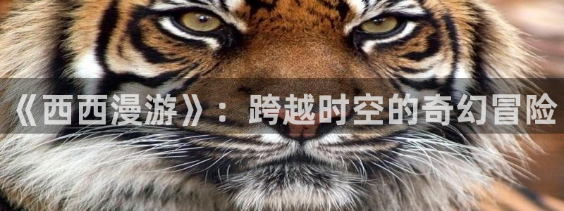 里番动漫高清在线观看：《西西漫游》：跨越时空的奇幻冒险