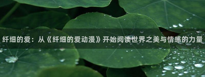 最新里番动漫在线看：纤细的爱：从《纤细的爱动漫》开始阅读世界之美与情感的力量