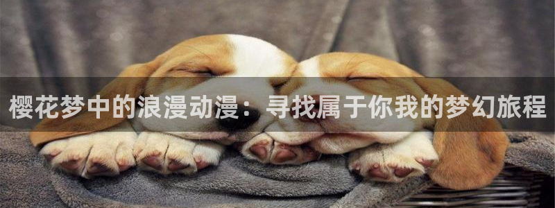 穿越里番动漫：樱花梦中的浪漫动漫：寻找属于你我的梦幻旅程