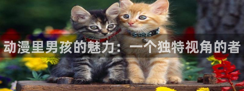 里番动漫艳母：动漫里男孩的魅力：一个独特视角的者