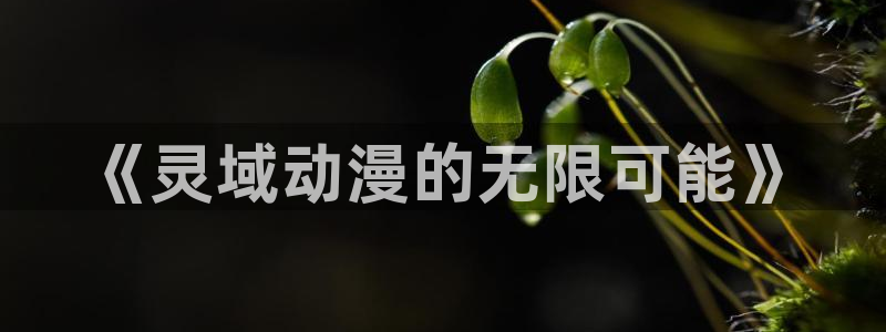 最新里番动漫观看：《灵域动漫的无限可能》