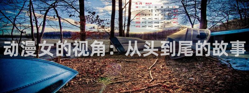 里番动漫有那些：动漫女的视角：从头到尾的故事